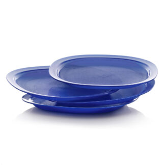 Tupperware® Microwave Reheatable Luncheon Plates | Reusable, Set of 4