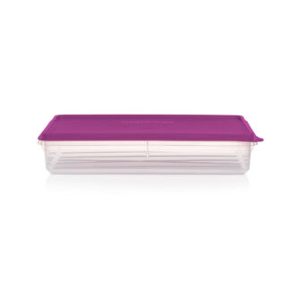 Tupperware® Snack-Stor® Large Airtight Food Storage Container