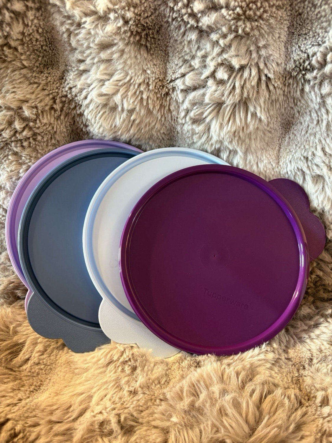 New Tupperware Microwave Reheatable Plates Set of 4 Purple Blue - Image 3