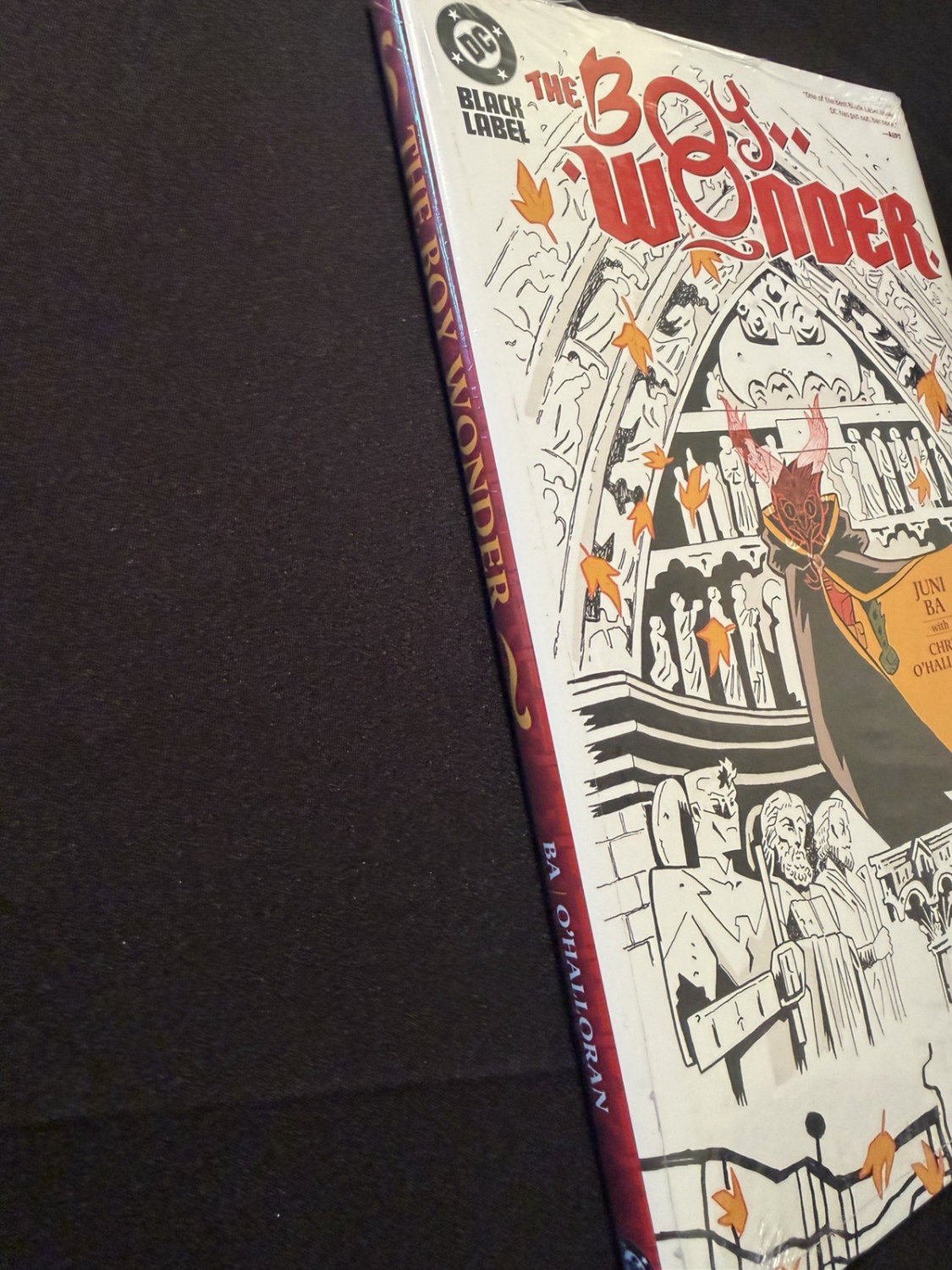 The Boy Wonder HC Sealed DC Black Label Juni Ba Batman Robin - Image 2