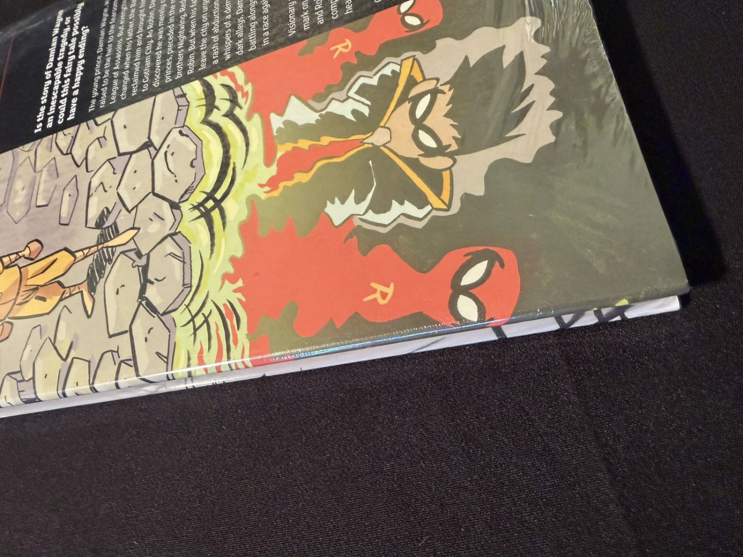 The Boy Wonder HC Sealed DC Black Label Juni Ba Batman Robin - Image 4