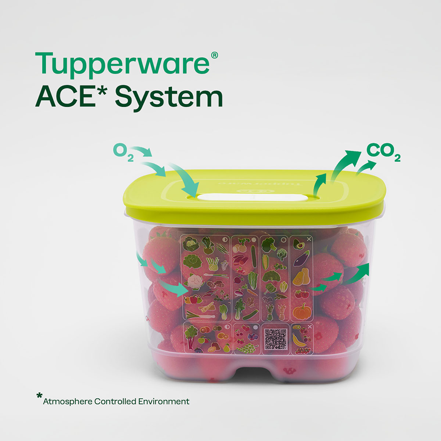 Tupperware® FridgeSmart® Vertical | Produce Storage Container With Lid - Image 3